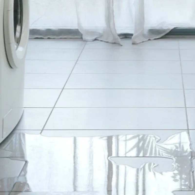 Appliance Leak Cleanup in Mount Pleasant, SC