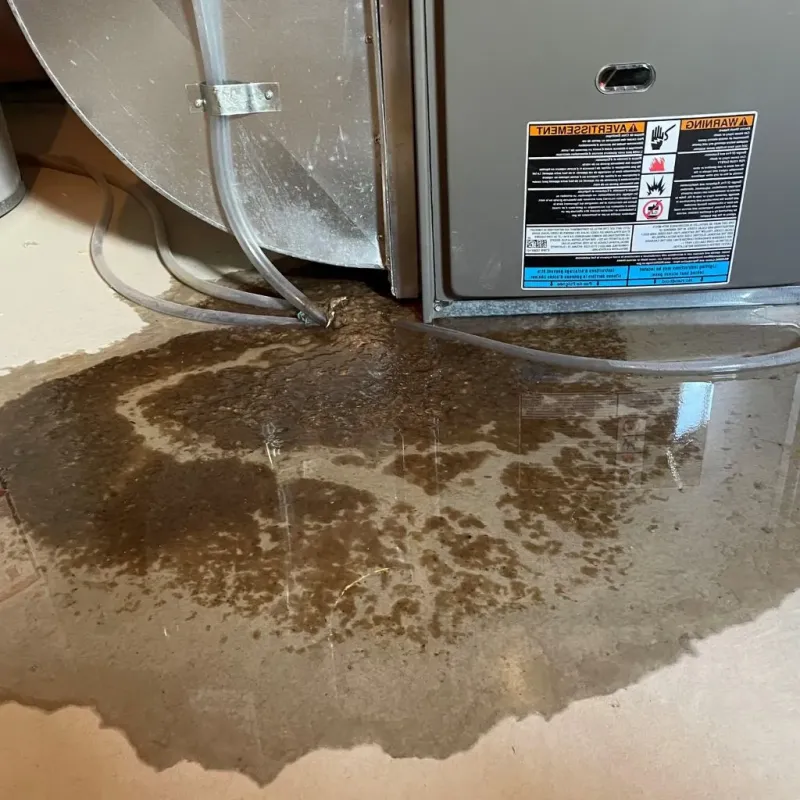 Pipe Burst and Leak Restoration in Mount Pleasant, SC