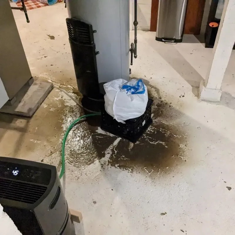 Sewage Backup Cleanup Service in Mount Pleasant, SC